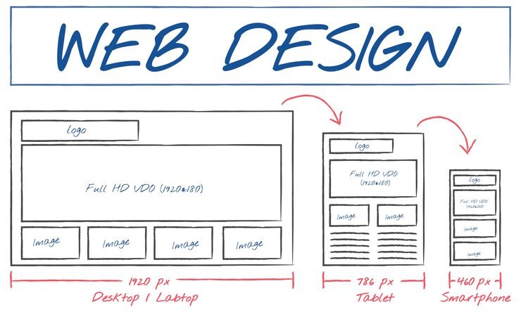 How Website Structure Shapes User Behavior 